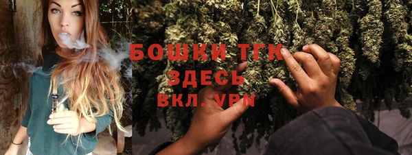 молекула духа Аркадак