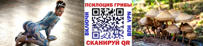 Псилоцибиновые грибы Psilocybe хочу наркоту Сланцы